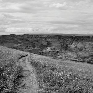 Surface level of landscape against cloudy sky