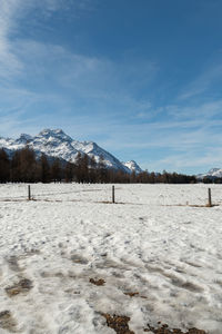 Silvaplana, switzerland, february 21, 2023 view to the top of the mount piz corvatsch 