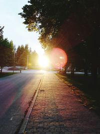 Sun shining through trees