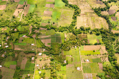 Agricultural land and rice fields in the countryside view from above. sri lanka.