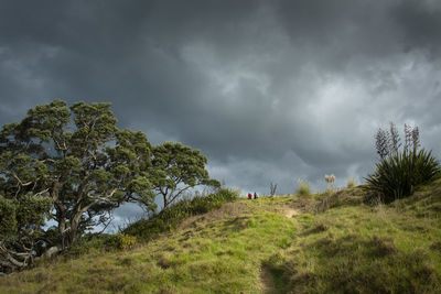 Trees on field against storm clouds