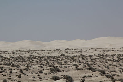 Scenic view of desert against sky