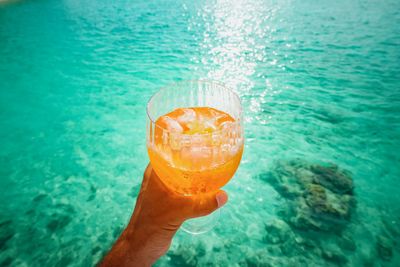 High angle view of jellyfish swimming in sea