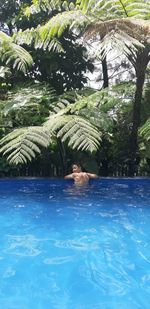 Woman relaxing in swimming pool