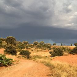 Scenic view of field against sky