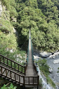 Footbridge amidst trees in forest
