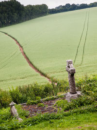 Scenic view of agricultural field