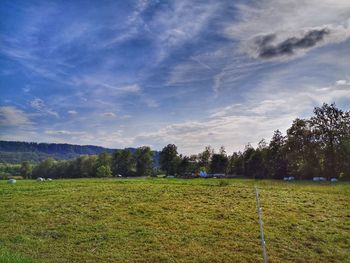 Scenic view of field against sky