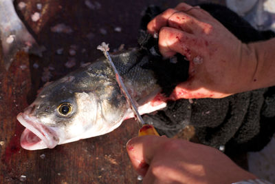 Human hand cutting fish