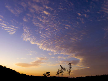 Low angle view of silhouette trees against sky at sunset