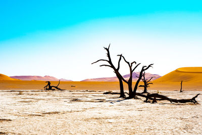 Scenic view of desert against clear blue sky