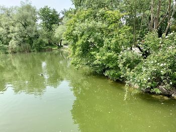 Scenic view of lake