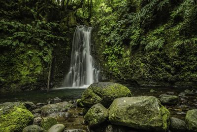 Waterfall in forest