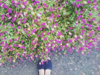 Low section of woman standing on tree trunk
