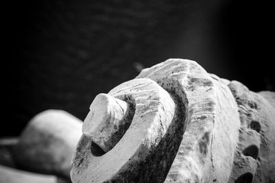 Close-up of hand feeding