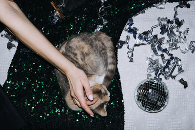 New years eve outfit ideas, dress to impress. cat sleeping on evening party dresses for celebration