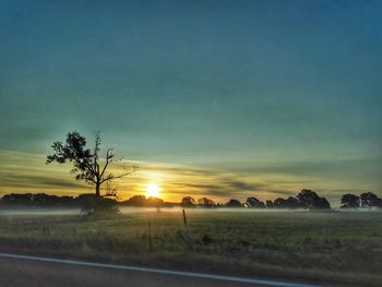 Silhouette tree by road against sky during sunset