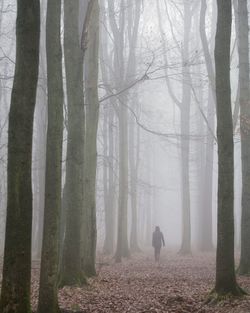 Man walking in forest during winter