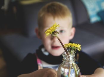 Close-up of boy looking at flower in vase