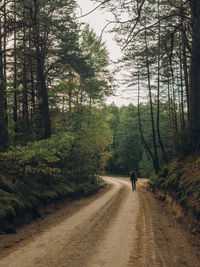 Rear view of woman walking on pathway amidst trees in forest
