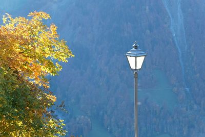 Low angle view of street light against trees