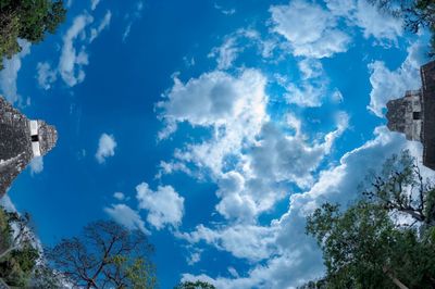 Low angle view of trees against cloudy sky