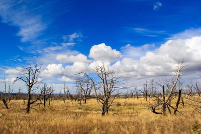 Scenic view of field against cloudy sky