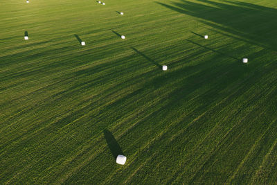 Top view of green cleared field with haystacks. large green field with round haystacks.