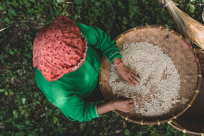 High angle view of woman with grains in wicker basket on land