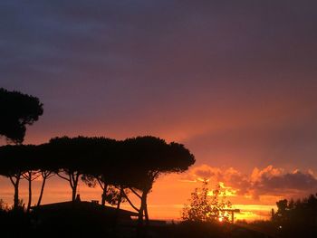 Silhouette trees against sky during sunset