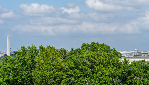 Trees against cloudy sky