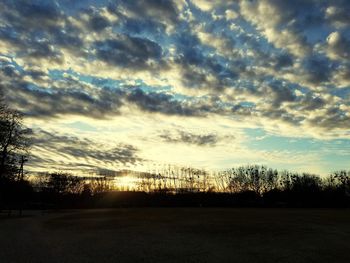 Silhouette trees on field against sky at sunset
