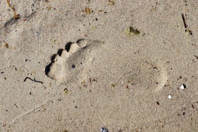 High angle view of footprints on sand