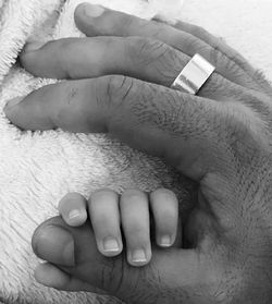 Close-up of father holding baby hand