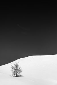 Scenic view of snow covered landscape