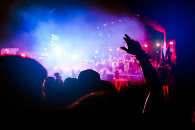 Silhouette people enjoying music concert at night