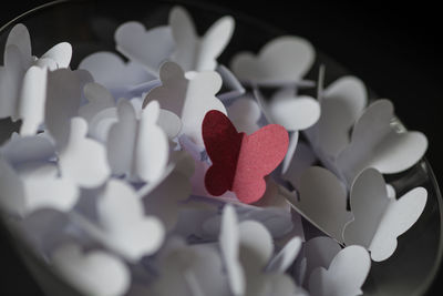 Close-up of heart shape against black background