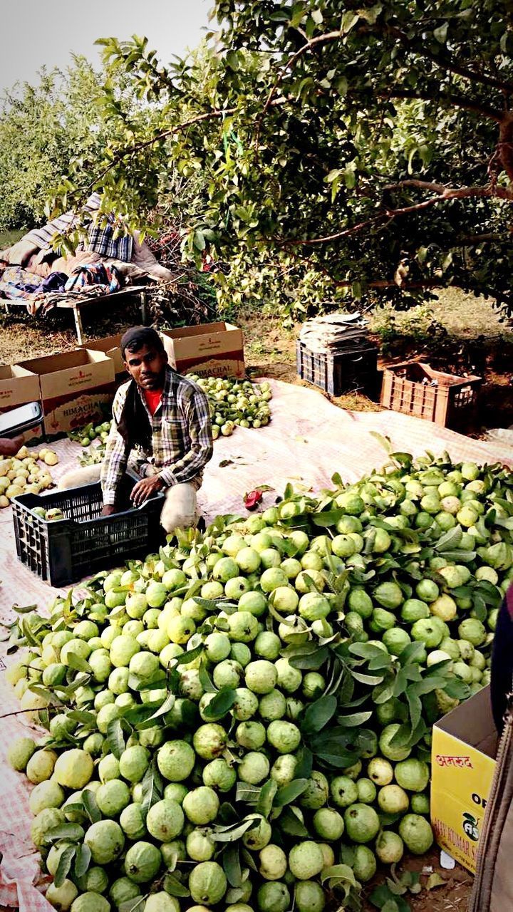 YOUNG WOMAN STANDING IN MARKET STALL AT A STREET