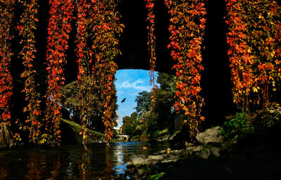 Scenic view of trees against sky during autumn