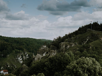 Trees on landscape against sky