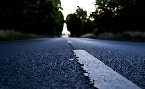 Surface level of road along trees