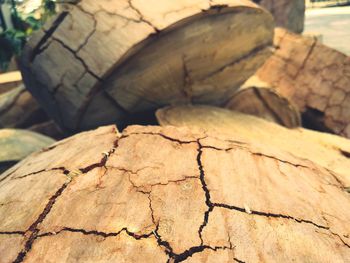 Close-up of logs