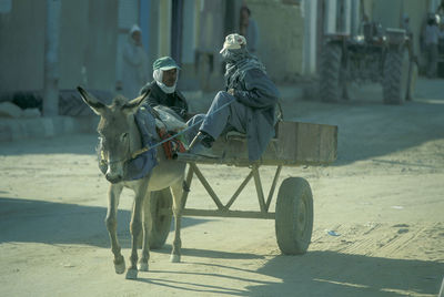 Rear view of man riding horse