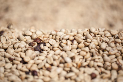 Coffee beans dried with sunlight