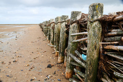 Wooden posts on beach against sky