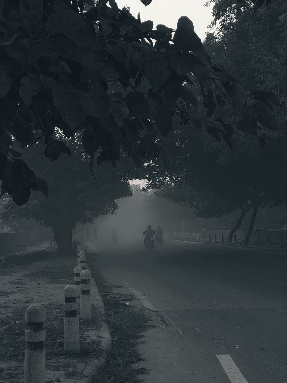 VIEW OF STREET IN WINTER