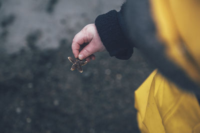 Close-up of hand holding yellow leaf