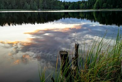 Scenic view of lake