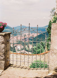 Plants growing on railing by sea against sky