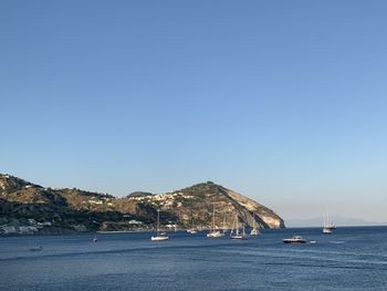 Sailboats in sea against clear blue sky